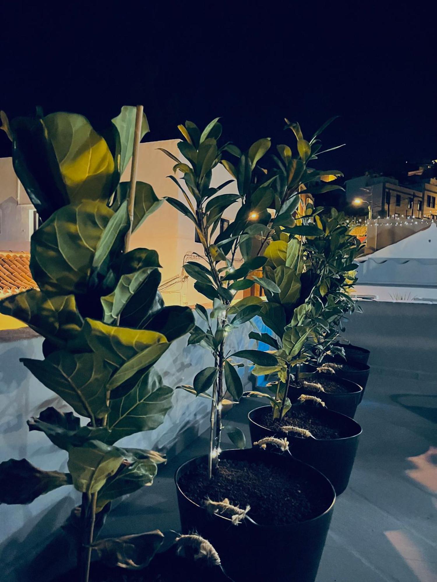 Plaza De La Fuente Granadilla De Abona Tenerife Sur Only Adults Con Terraza Privada Exterior photo